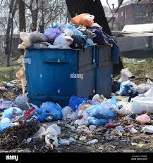 Professional Junk Removal Services in Carterville, IL